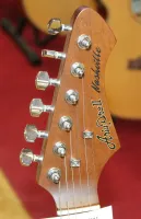 Aria Nashville Telecaster Like Guitar Rosewood Top Silver Scratch Plate Sarum Guitars & Drums Salisbury Wiltshire 02 - Ayrıntı için tıklayınız