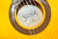 Aria Fiesta Classical Guitar Nylon Strings Inc Bag Sarum Guitars 04 - Click to enlarge