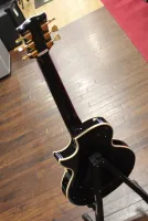 FGN Fujigen Les Paul Type Electric Guitar Black Sarum Guitars & Drums Salisbury Wiltshire 01 - Cliquer pour agrandir