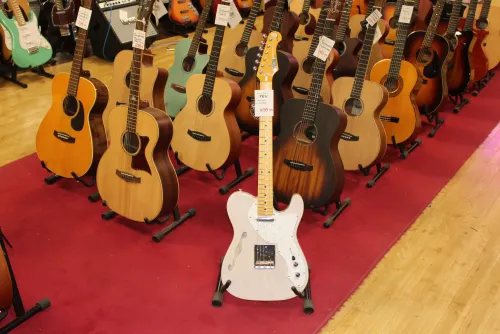 FGN Fujigen Thinline Telecaster Type MIJ Electric Guitar Inc Gig Bag Sarum Guitars & Drums Salisbury