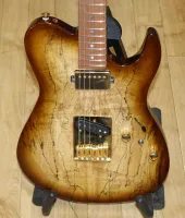 FGN Fujigen Spalted Telecaster Type MIJ Electric Guitar Sarum Guitars & Drums 02 - Click to enlarge