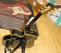 Gretsch Pinstripe 4699 2007 Artist Jimmy C, Brooklyn Guitar Show 04 - Click to enlarge