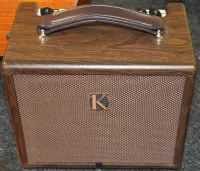 Kinsman KAA25 Acoustic Guitar Amplifier Battery Or Power Supply Sarum Guitars & Drums Salisbury Wiltshire 04 - Cliquer pour agrandir