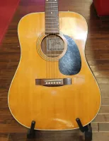 Syain Acoustic Guitar Y-V 12 Sarum Guitars Salisbury 02 - Zum Vergrößern anklicken