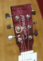 Tanglewood Azure Premium Plus Electro Acoustic Guitar Sarum Guitars & Drums Salisbury Wiltshire 03 - Klik for større billede