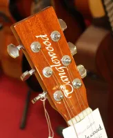 Tanglewood DBTPE SBG Inc Case Elecro Acoustic Guitar 02 - Ayrıntı için tıklayınız