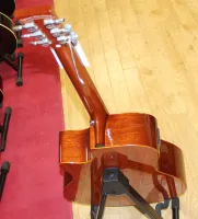 Tanglewood DBTPE SBG Inc Case Elecro Acoustic Guitar 01 - Ayrıntı için tıklayınız