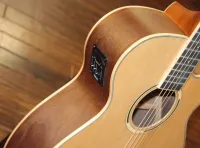 Tanglewood DBTS FCEBW Electro Acoustic Guitar Sarum Guitars & Drums Salisbury Wiltshire 03 - Clic para agrandar