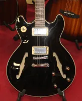 Tanglewood NorthStar TCH59BK Hollow Body Electric Guitar Black sarum guitars 04 - Click to enlarge