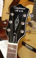 Tanglewood NorthStar TCH59BK Hollow Body Electric Guitar Black sarum guitars 03 - Click to enlarge