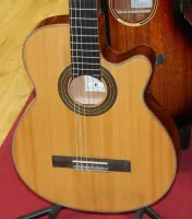 Tanglewood Nylon Strung Electro Acoustic Guitar Slim Body 04 - Натисніть, щоб збільшити