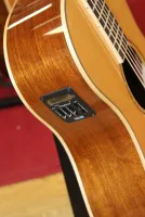 Tanglewood TRX-8 Parlour Electro Acoustic Guitar Sarum Guitars & Drums Salisbury Wiltshire 04 - Click to enlarge