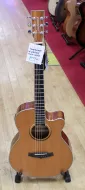 Tanglewood Winterleaf  TW4 CENA Electro Acoustic Guitar Sarum Guitars & Drums Salisbury Wiltshire 06