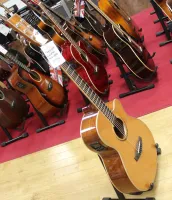 Tanglewood Winterleaf  TW4 CENA Electro Acoustic Guitar Sarum Guitars & Drums Salisbury Wiltshire 03 - Klikk for å forstørre