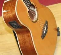 Tanglewood Winterleaf  TW4 CENA Electro Acoustic Guitar Sarum Guitars & Drums Salisbury Wiltshire 02 - Klikk for å forstørre