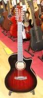 Tanglewood Winterleaf 12 String Electro Acoustic Guitar 05 - Click to enlarge