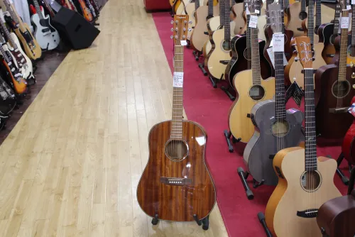 Tanglewood TW 40 STD Sundance Delta Acoustic Guitar Sarum Guitars & Drums 03
